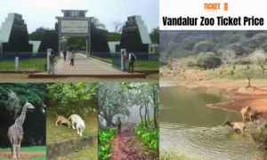 vandalur zoo ticket price