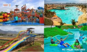 wet and joy ticket price