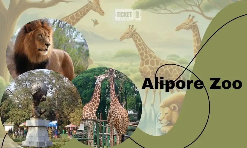 alipore zoo ticket price