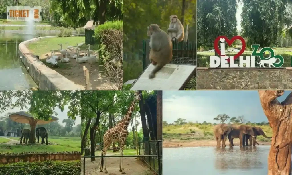 delhi zoo ticket price
