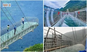 rajgir glass bridge ticket price
