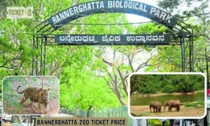 bannerghatta zoo ticket price