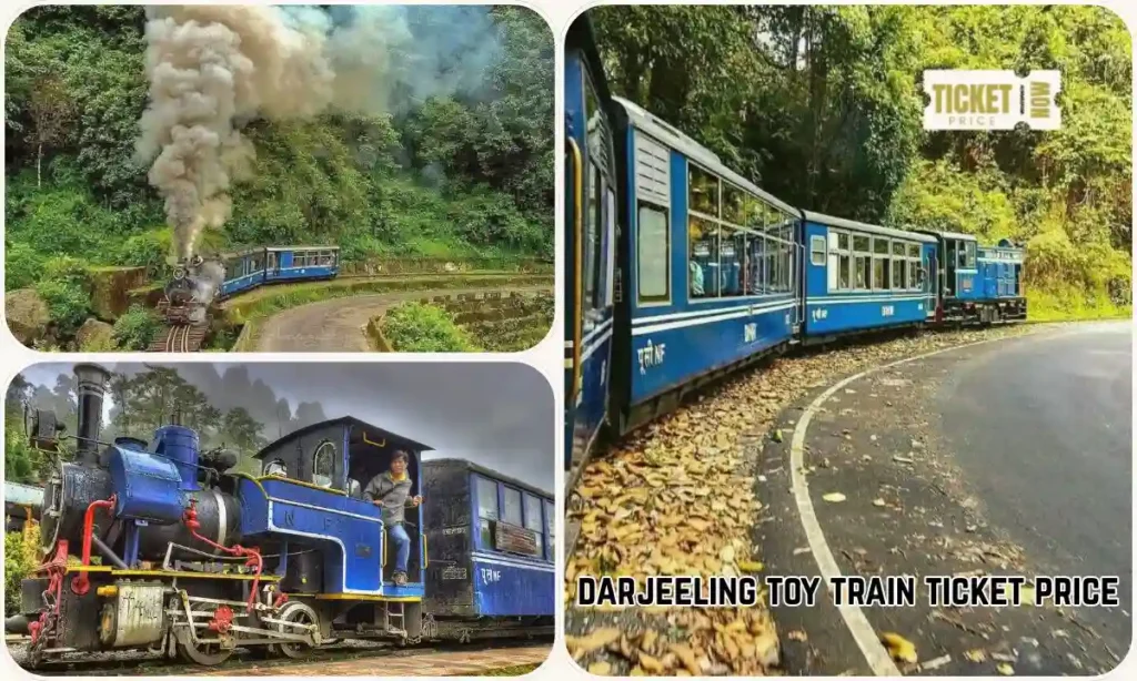 darjeeling toy train ticket price