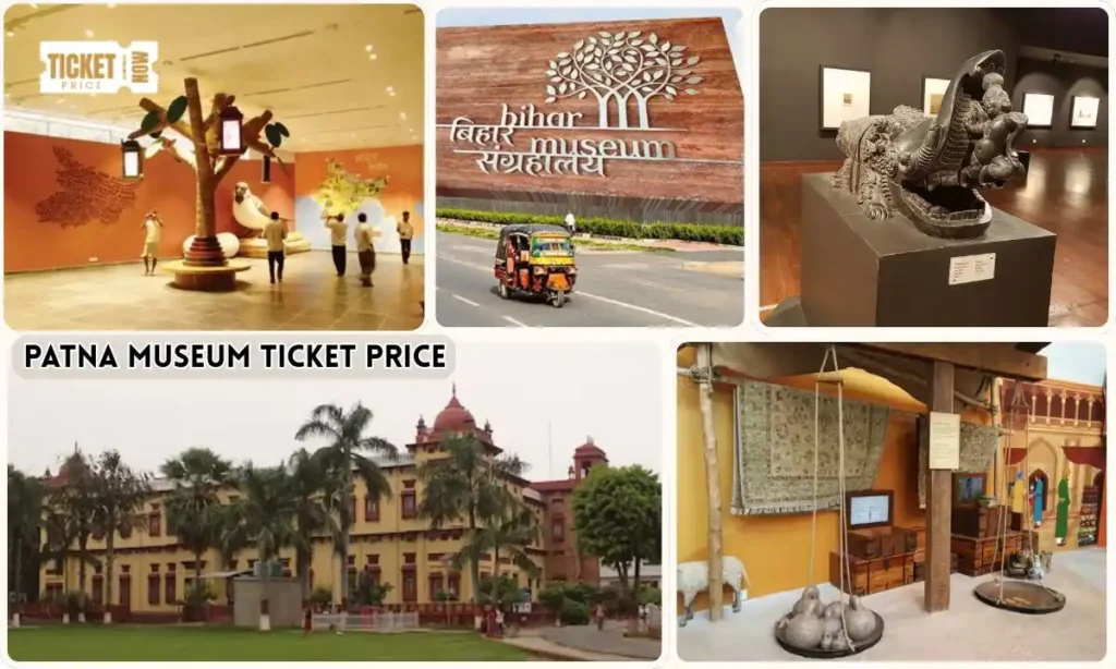 patna museum ticket price