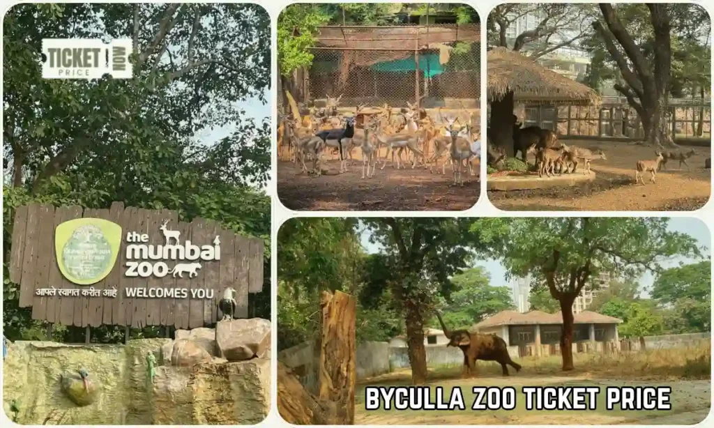 byculla zoo ticket price