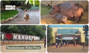 nandankanan ticket price