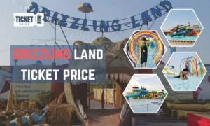 drizzling land ticket price